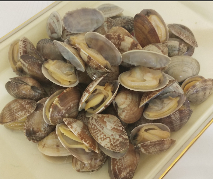 42516 - Short Neck Clam with Shell China